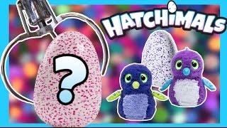 ★Winning Hatchimals Eggs From The Claw Machine UnboxingReview  ClawTuber [upl. by Odracer]