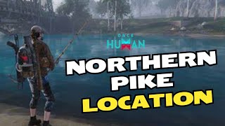 Easiest way to get Northen Pike in Once Human  Frozen Pike BP [upl. by Ursi]