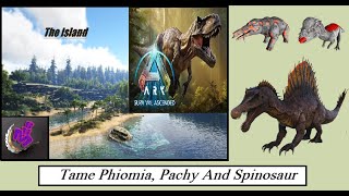 ARK Survival Ascended TAME PHIOMIA PACHY AND SPINOSAUR  MAP THE ISLAND  MHG 4K  33 [upl. by Osman837]