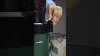 Vita Rich Slow Juicer  How To Use  Slow Juicing For Maximum Nutrition  Borosil [upl. by Tibbetts]