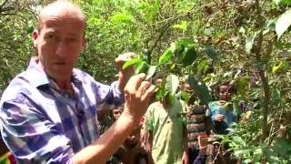 Koffie amp Ethiopië  Een documentaire over de effecten van klimaatverandering voor koffieboeren [upl. by Allerbag]