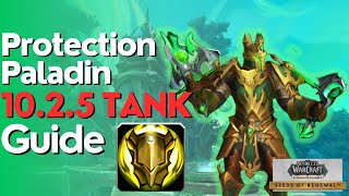 Protection Paladin 1025 Beginner Guide for Raid amp M [upl. by Callum920]