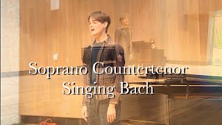 Seufzer Thränen Kummer Noth  JS Bach  Rowan [upl. by Audrey308]