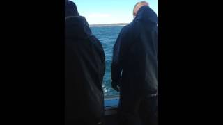 Lobster fishing nova scotia [upl. by Nodnarb550]