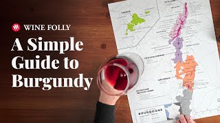 Wine Folly Guide to Burgundy [upl. by Yrek]