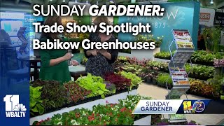 Sunday Gardener Mid Atlantic Nursery Trade Show  Babikow Greenhouses [upl. by Wetzel]