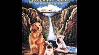 Disney Homeward Bound The Incredible Journey  Theme Piano Version by Jera3 [upl. by Alacim]