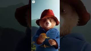 PADDINGTON IN PERU 2025 shortvideo movie movieclips moviescenes [upl. by Sokin910]