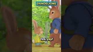 Hands off my dandelions 🐰🌼🚫🤚🌱 Learning to share with the Shrew PeterRabbit Funny Shorts [upl. by Samohtnhoj]