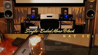 SingleEnded Mono Block Power Amplifier  NAT Se1  Primaluna PreAmp  Audiovector Speakers [upl. by Enilasor]