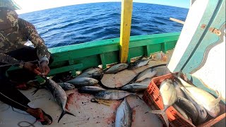 PESCARIA EM ALTO MAR DE TARDEZINHA EM POUCOS MINUTOS ENCHEMOS O BARCO Pesca no mar [upl. by Micheil]