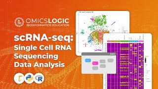 scRNAseq Single Cell RNA Sequencing Data Analysis [upl. by Burra]