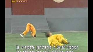 Tong Zi Gong  The Power of Shaolin Kung Fu [upl. by Deeraf158]