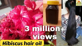 MANDARA TAILAM  DIY HIBISCUS HAIR OIL  మంధార తైలం MANA ILLU [upl. by Eicnan]