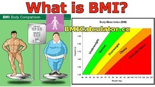 BMI Body Mass Index Introduction History and BMI Calculator [upl. by Atirabrab301]