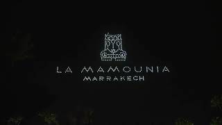 Aerial show  La Mamounia Marrakech Centenary [upl. by Bick983]