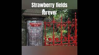 Strawberry fields forever thebeatles [upl. by Lahcym]