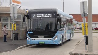 SPY244 Ikarus CRRC elektromos busz Székesfehérváron [upl. by Anedal588]