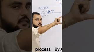 Nutrition in Amoeba pseudopodia formation lifeprocesses cell [upl. by Vedi]