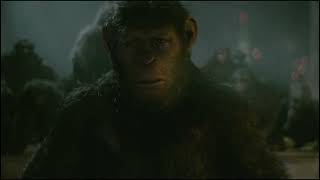 Caesar vs Koba fight Apes together strong Caesar weak Dawn of the Planet of the Apes 2014 [upl. by Ogren]