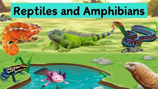 Reptiles and Amphibians  Kids learning  Video about Reptiles amp Amphibians Names in English [upl. by Iggem321]