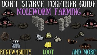 Dont Starve Together Guide Moleworm Farming [upl. by Oah]