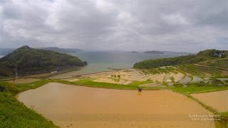 4K 長崎県松浦市福島町土谷田 Rice Terraces Fukushima Nagasaki Kyushu JAPAN [upl. by Ira]