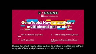 GeneTools How To Video Multiplex Gel Blot [upl. by Booze929]