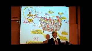 ANATOMY REVIEW OF CYTOLOGY PART 2 by Professor Fink [upl. by Oiramd]