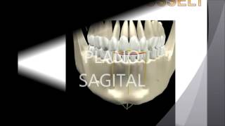 Biomecánica Mandibular Prostodoncia [upl. by Analah995]