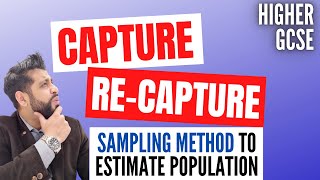 Capture and Recapture  Paper 2H Topic  Sampling  GCSE Maths [upl. by Rogergcam663]