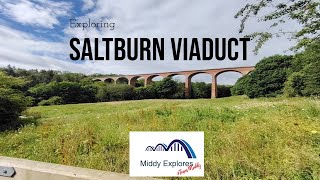 Exploring Saltburn Viaduct [upl. by Ettebab]