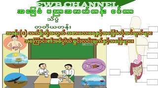 Myanmar New curriculum Grade3 SciencePart1 question and answer [upl. by Einre]