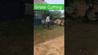 Grass cutting grass cutting machine grass cutting workkokan [upl. by Yffat]