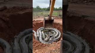 A snake pit was dug at the construction site youtubeshorts [upl. by Hermione]