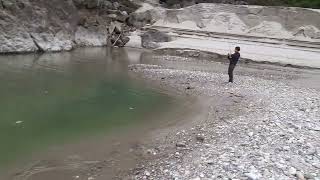 goonch catfish catch at siang river [upl. by Coltin]