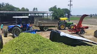 Information for 🌽🌽Corn silage and silage inoculants [upl. by Tebzil]