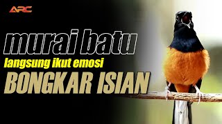 GACOR  SEKALI DENGAR LANGSUNG IKUT NEMBAK DAN LANGSUNG EMOSI [upl. by Legra]