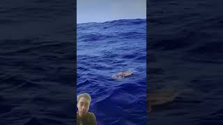 squishing Animals  fishing squidding shark status Sharte vairalvideo Reela [upl. by Radborne]