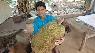 Village food factoryBIG jackfruit chips recipe  jackfruit Recipe Cooking my Family in my village [upl. by Inalaehak]