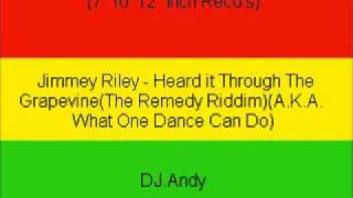 Jimmey Riley  Heard it Through The GrapevineThe Remedy R [upl. by Naibaf]