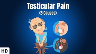 8 Causes Of Testicular Pain [upl. by Eedyak816]