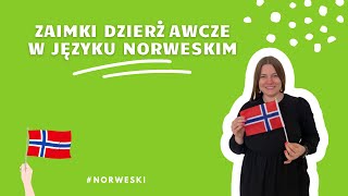 NORWESKI OD PODSTAW Mój Twój nasz Zaimki dzierżawcze w języku norweskim 📝 [upl. by Martijn946]