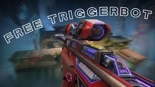 FREE TRIGGERBOT 2024  Safe amp Undetected  Valorant Tutorial [upl. by Ecargyram854]