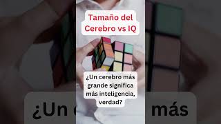 Tamaño del Cerebro vs IQ [upl. by Attaymik322]