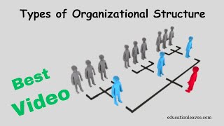 Types of Organizational Structure in management [upl. by Cofsky]