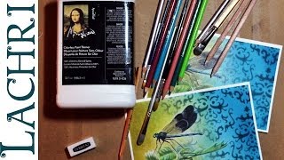 Basics to blending in colored pencil  prismacolor amp polychromos w Lachri [upl. by Colwell]