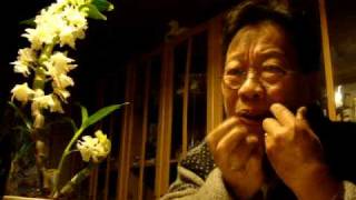 Tran Quang Hai improvizes with the Yakut Khomus Jews harp [upl. by Anorahs10]