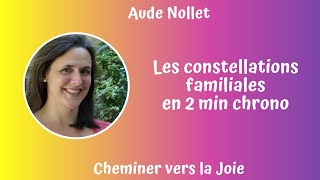 Les constellations familiales en 2 min chrono [upl. by Ajed112]