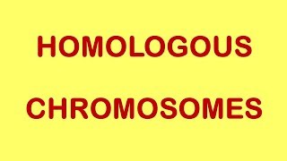 Concepts of genetics  Homologous Chromosomes [upl. by Jammin]